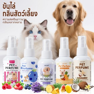 GJYC PET🌿สเปรย์ดับกลิ่นสัตว์เลี้ยง | สูตรพืชปลอดภัย | ใช้ได้…