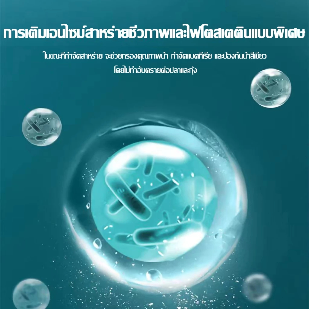 กําจัดตะไคร่ในตู้ปลา กําจัดตะไคร่ในตู้ปลา กําจัดตะไคร่ กําจัดน้ําเขียว ล้างบ่อปลา - รูปที่ 3