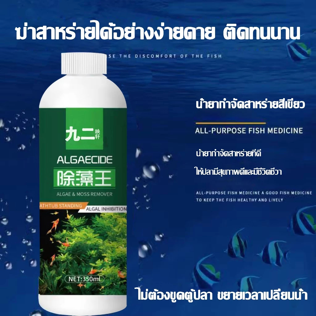 กําจัดตะไคร่ในตู้ปลา กําจัดตะไคร่ในตู้ปลา กําจัดตะไคร่ กําจัดน้ําเขียว ล้างบ่อปลา - รูปที่ 7