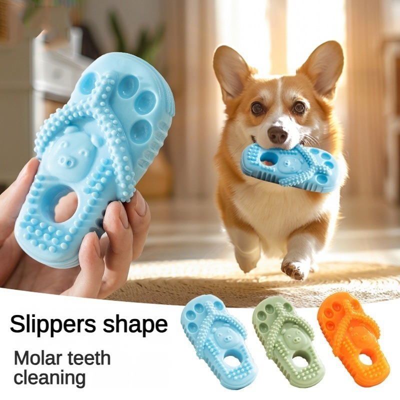 ของเล่นสัตว์เลี้ยง รองเท้าแตะสุนัข Shape Molar Stick ของเล่นสุนัข Bite-Resistant ของเล่นสุนัขแมว