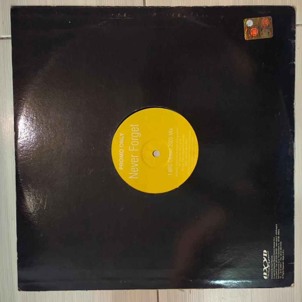 BRS – Never Forget HOUSE 2005 VINYL LP