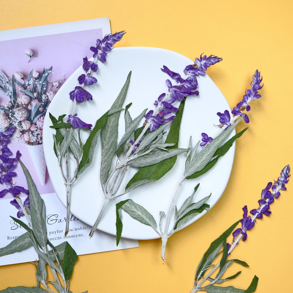 ดอกไม้สีม่วงแห้งธรรมชาติ - Pressed Purple Sage - Handmade Envelopes Bookmarks - กรอบตกแต่ง
