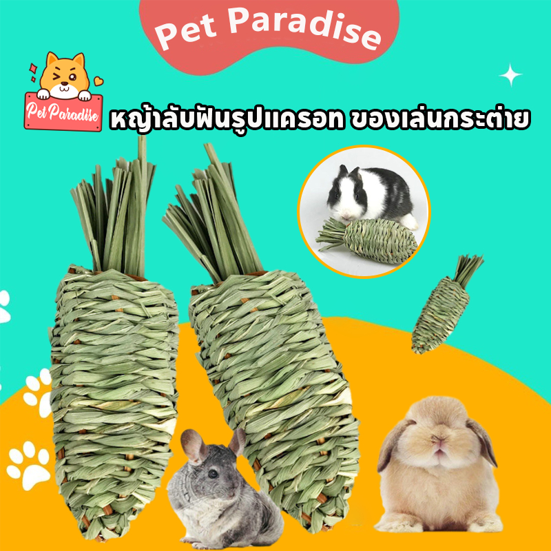 หญ้าสานลับฟันรูปแครอท ขนมหญ้าลับฟัน สำหรับสัตว์ฟันแทะ แทะลับฟัน ลดการกัดแทะกรง ปลอดภัย ธรรมชาติ