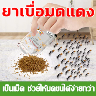 ไม่มีมดตลอดทั้งปี แป้งมดนําเข้าจากอเมริกา ยากําจัดมด. ฆ่ามดต่อเนื่องครึ่งชั่วโมง ยาฆ่ามด อัตราการกําจัด 100% ฆ่ามด