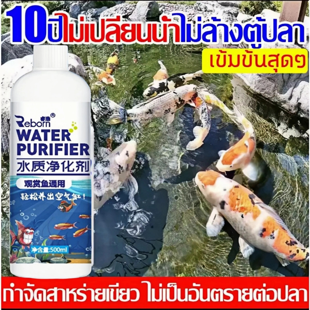 ไม่ต้องเปลี่ยนน้ําได้ถึง 50 ปี จุลินทรีย์ช่วยปรับสภาพน้ําใส ล้างตู้ปลา จุลินทรีย์ หนอนแดง น้ําใส บ่อปลา กําจัดสารพิษ