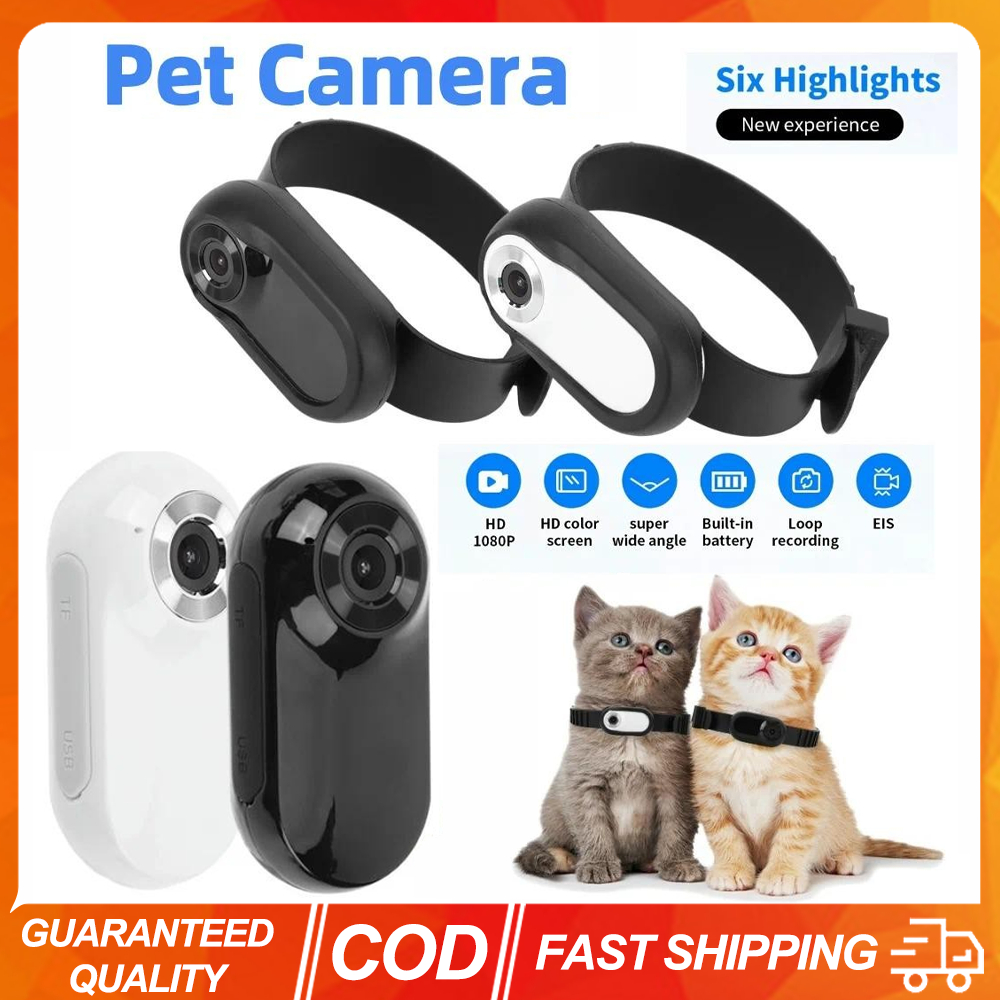 (ปลาค็อด) กล้องปลอกคอสัตว์เลี้ยง ไม่ต้องใช้ Wifi HD 1080P กล้องกีฬาขนาดเล็กไร้สาย กล้องแมว Choker ปลอกคอสุนัขติดตามพร้อมบันทึกวิดีโอ