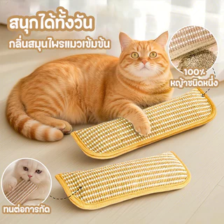 หมอนแมว🐱กัญชาแมวแท้ 100% หมอนสมุนไพรแมวแท้ 34cm เชือกปอสุดทน ป้องกันกระดูกสันหลังส่วนคอ หมอนสัตว์เลี้ยง