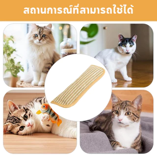 ของเล่นแมว มีแคทนิปในตัวหมอนแมว ไพรแมวบริสุทธิ์100% เชือกปอที่ทนทานเป็นพิเศษ หมอนกาบสมุนไพรแมวเหมียว