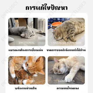 PETLUSCI กัญชาแมว ของเล่นแมว หมอนแมว 100% ธรรมชาติบริสุทธิ์ ดึงดูดแมว ทนต่อการสึกหรอ
