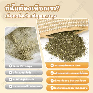 PETLUSCI กัญชาแมว ของเล่นแมว หมอนแมว 100% ธรรมชาติบริสุทธิ์ ดึงดูดแมว ทนต่อการสึกหรอ