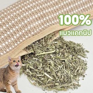 หมอนเล่นแมวใบมินต์ กัญชาแมว ของเล่นแมว แมวแคทนิป ผ้าป่านทนกัด ป้องกันข่วน เย็นสบายไม่ร้อน ต้นกัญชาแมว