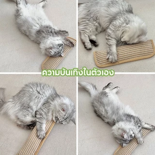 หมอนเล่นแมวใบมินต์ กัญชาแมว ของเล่นแมว แมวแคทนิป ผ้าป่านทนกัด ป้องกันข่วน เย็นสบายไม่ร้อน ต้นกัญชาแมว