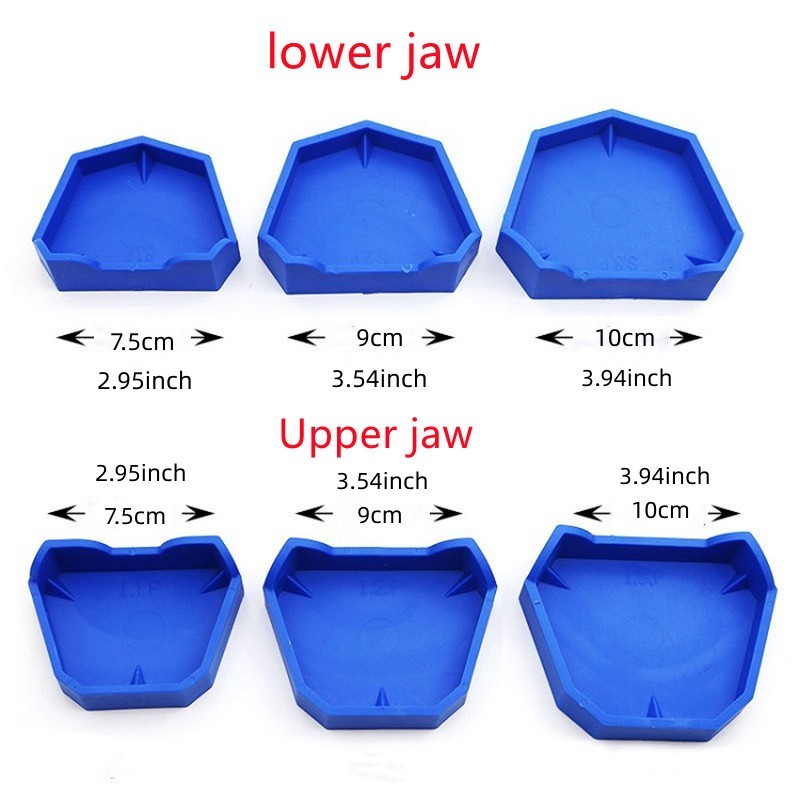 6 ชิ้น/เซ็ต Lab Model Former Base Molds สีฟ้า