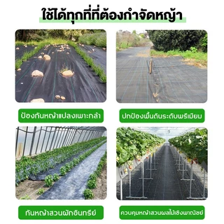 【แถมหมุดยึดพื้น】พลาสติกดิน ผ้าวัชพืช ผ้าดิน 70GSM 5m/10m/50m/100m Class AAA พลาสติกคลุมวัชพืช ผ้าคลุมหญ้า กันยูวี กําจัดวัชพืช ผ้าคลุมหญ้าหนา