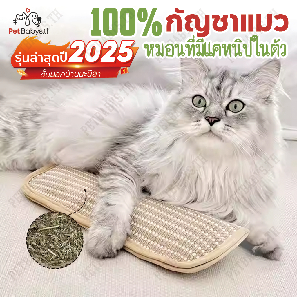 PETBABYS✨กัญชาแมวแท้ 100% หมอนที่มีแคทนิปในตัว Catnip ที่ลับเล็บแมว ทนต่อการสึกหรอ ดึงดูดแมวได้ยาวนาน ของเล่นสัตว์เลี้ยง