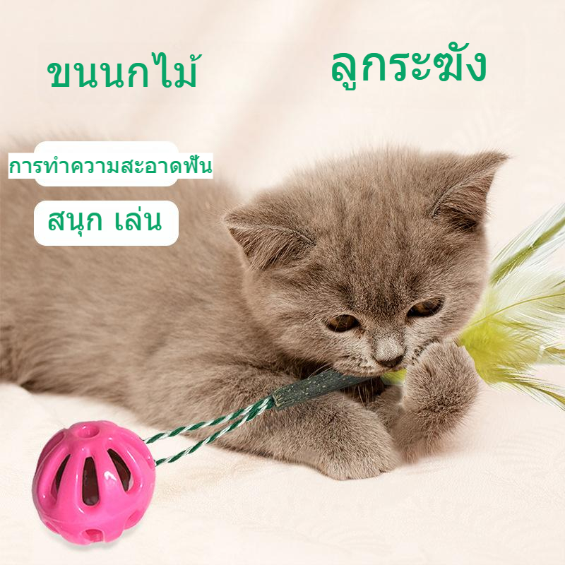 ของเล่นแมวตลก Sounding Bell Ball Cat Teasing Cat Stick Feather บรรเทาความเบื่อหน่ายกัด Mutiana เบสบอล Cat Molar Stick ludeM