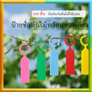 100ชิ้นแขวนพืชชื่อแท็กกันน้ํา | ป้ายพลาสติกแบบหนา | สวนและการใช้สถานรับเลี้ยงเด็ก