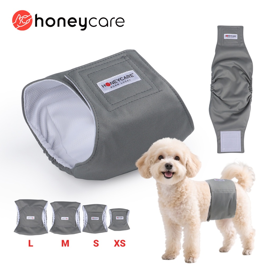 Honeycare XS-L สีเทาผ้าอ้อมสุนัขแบบใช้ซ้ําได้ชายMale Pet Dog diaper กางเกงสรีรวิทยากางเกงขาสั้นกันน้ําระบายอากาศ Light puppy ผ้าอ้อมชายซักได้ 公狗可水洗裤灰