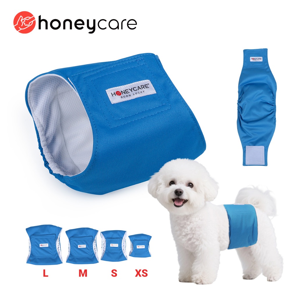 Honeycare XS-L สีฟ้าผ้าอ้อมสุนัขแบบใช้ซ้ําได้ชายMale Pet Dog diaper กางเกงสรีรวิทยากางเกงขาสั้นกันน้ําระบายอากาศ Light puppy ผ้าอ้อมชายซักได้ 公狗可水洗裤灰