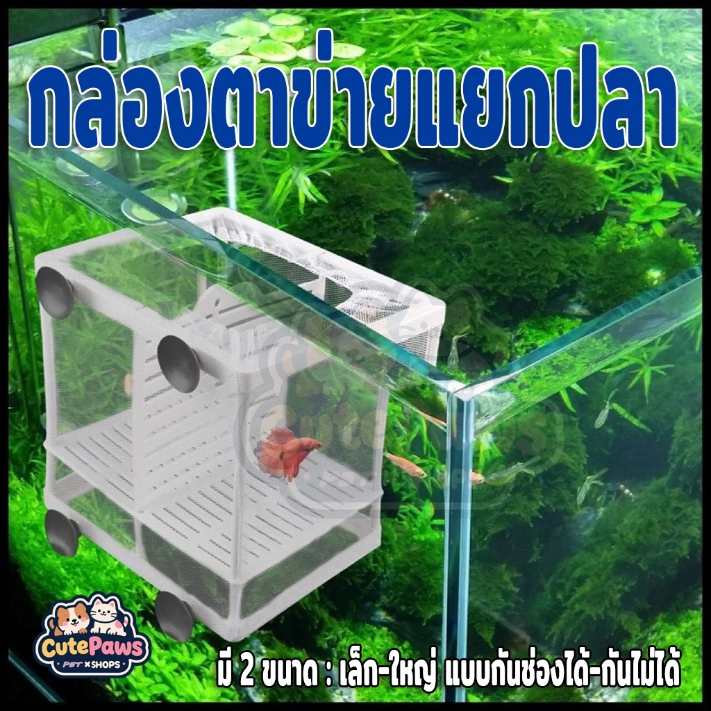 กล่องตาข่ายแยกปลา กล่องเพาะพันธุ์ปลา