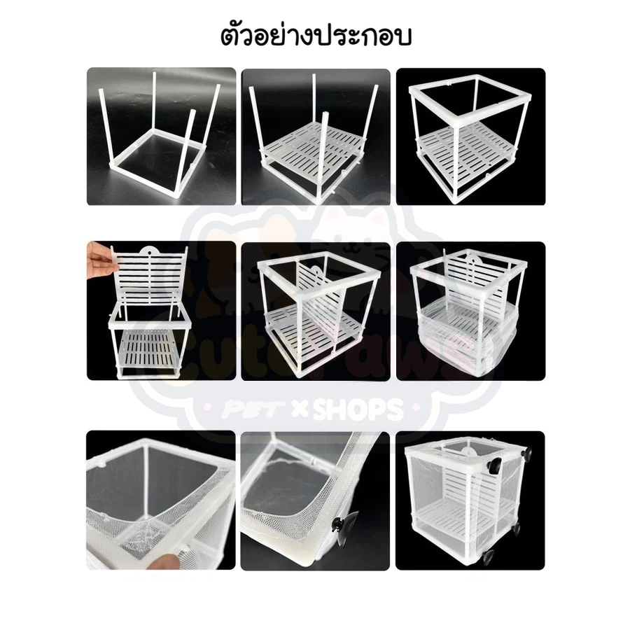 กล่องตาข่ายแยกปลา กล่องเพาะพันธุ์ปลา thumbnail 5
