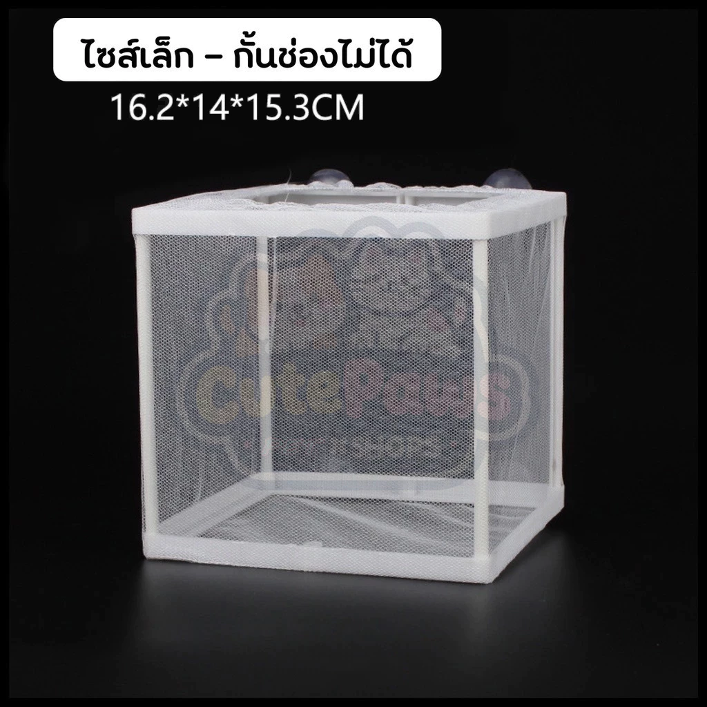 กล่องตาข่ายแยกปลา กล่องเพาะพันธุ์ปลา thumbnail 10