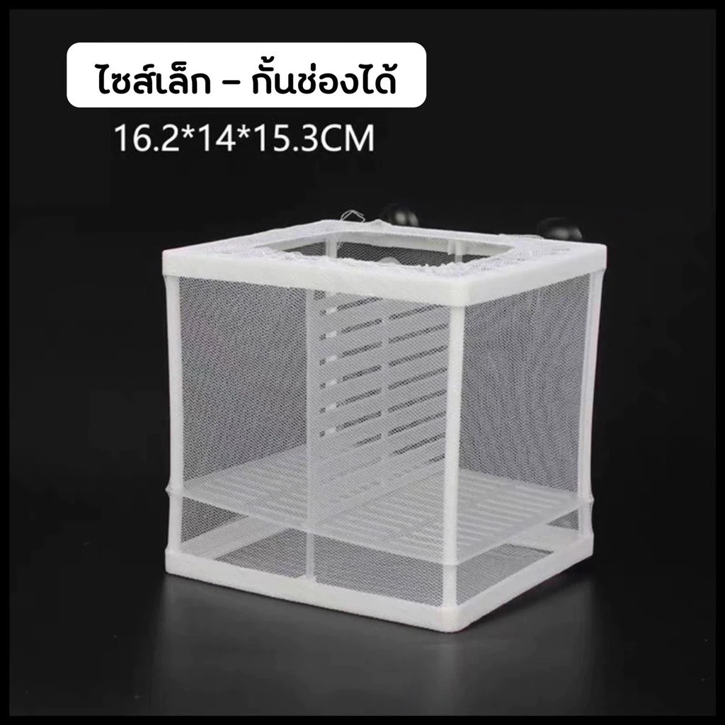 กล่องตาข่ายแยกปลา กล่องแยกเพาะพันธุ์ปลา thumbnail 8