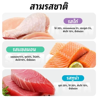 MISKO อาหารแมวเปียก แพ็คคุ้ม 12×80g! ✨ขนสวยโปรตีน+ แซลมอน/ทูน่า/ไก่ เนื้อเจล | ผิว+ย่อย+ความชุ่มชื้น | อาหารหลัก Cat wet food