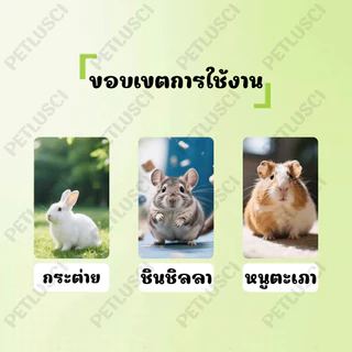 PETLUSCI ขนมกระต่าย หญ้าลับฟันรูปแครอท ทําด้วยมือ ทอผ้า ของเล่นกระต่าย ปลอดภัย ธรรมชาติ ไม่ฟอกขาว