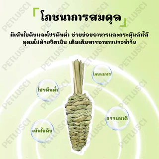 PETLUSCI ขนมกระต่าย หญ้าลับฟันรูปแครอท ทําด้วยมือ ทอผ้า ของเล่นกระต่าย ปลอดภัย ธรรมชาติ ไม่ฟอกขาว