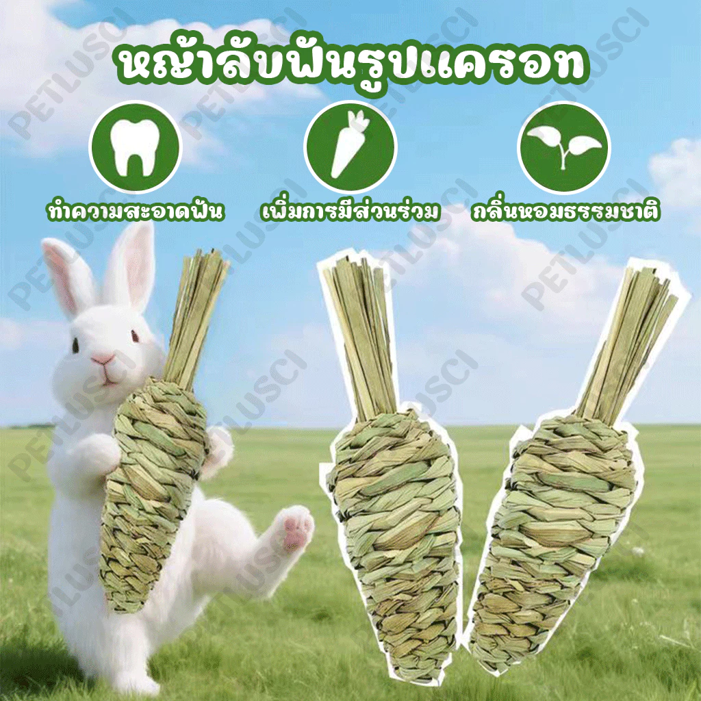 PETLUSCI ขนมกระต่าย หญ้าลับฟันรูปแครอท ทําด้วยมือ ทอผ้า ของเล่นกระต่าย ปลอดภัย ธรรมชาติ ไม่ฟอกขาว