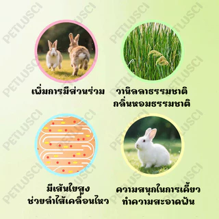 PETLUSCI ขนมกระต่าย หญ้าลับฟันรูปแครอท ทําด้วยมือ ทอผ้า ของเล่นกระต่าย ปลอดภัย ธรรมชาติ ไม่ฟอกขาว