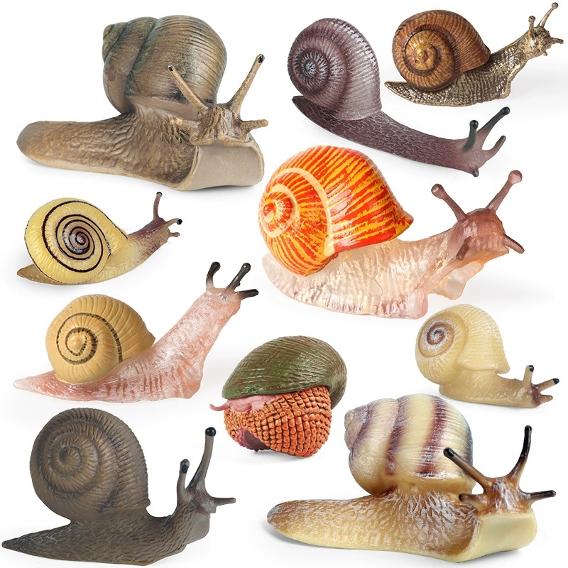 Phylum Mollusca หอยทากจําลองรุ่นเด็กวิทยาศาสตร์ของเล่นเพื่อการศึกษาตกแต่งฉากสัตว์ props เครื่องประดับ