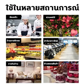 🪰กำจัดแมลงหวี่อย่างมืออาชีพ🪰ฆ่าแมลงหวี่ ไล่แมลงวัน ไล่แมลงหวี่ ช่วยกำจัดแมลงวันและ ในบ้านเรื่อนและอาคารสถานที่ เช่น ห้องครัว