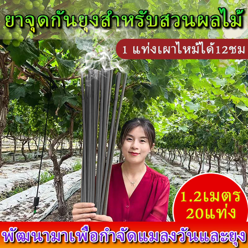 จัดส่งโดยตรงจากโรงงาน ยากันยุง ปลอดภัยสำหรับเด็กและสตรีมีครรภ์ ยาจุดกันยุง1.2เมตร20แท่ง ธูปไล่ยุง ธูปจัมโบ้ตะใครัไล่