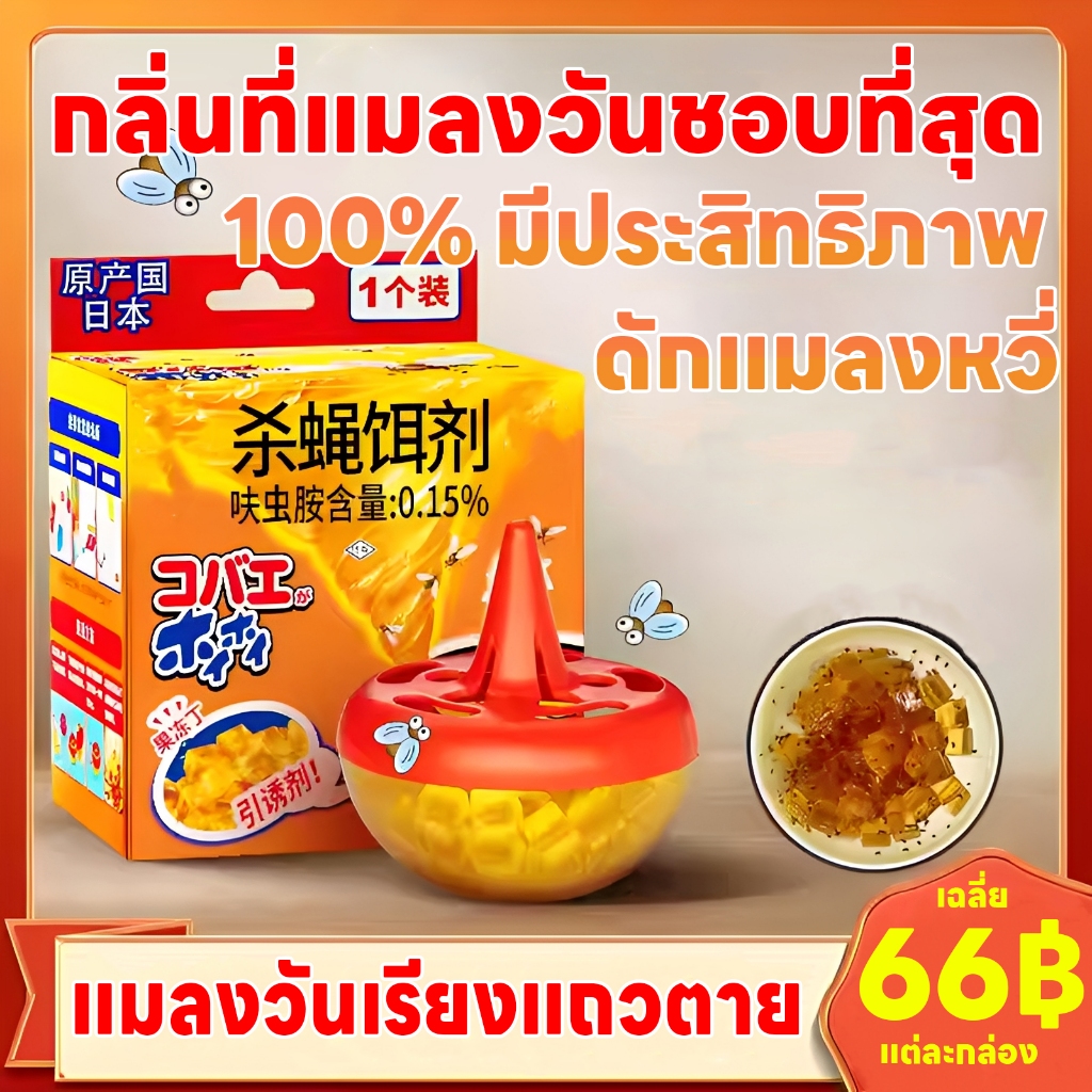 🪰เหยื่อดักแมลงวัน🪰ไล่แมลงหวี่ ไล่แมลงวัน ฆ่าแมลงหวี่ แมลงหวี่ ช่วยกำจัดแมลงวันและแมลงหวี่ ในบ้านเรื่อนและอาคารสถานที่ เช่น ห้องครัว