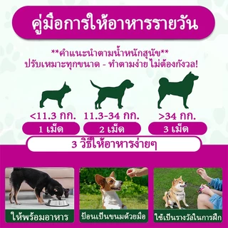 BrioGuard วิตามินรวม 15-IN-1 สําหรับแมวสุนัข ผลิตจากส่วนผสมธรรมชาติ