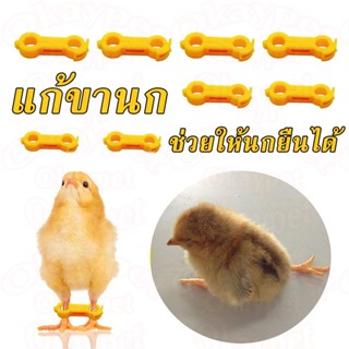 แหวนฝึกนก อุปกรณ์พยุงขาสำหรับนกในเด็ก สำหรับลูกนกในรัง แก้ขา…