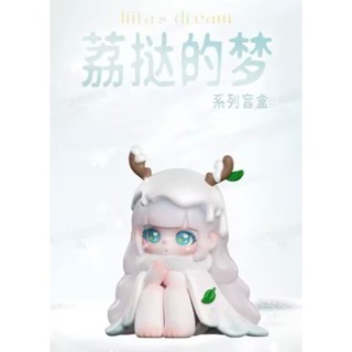 TNT SPACE Liita Liitas Dream (ซีรีส์ความฝันของ Liita) กล่องปริศนาเวอร์ชันยืนยัน