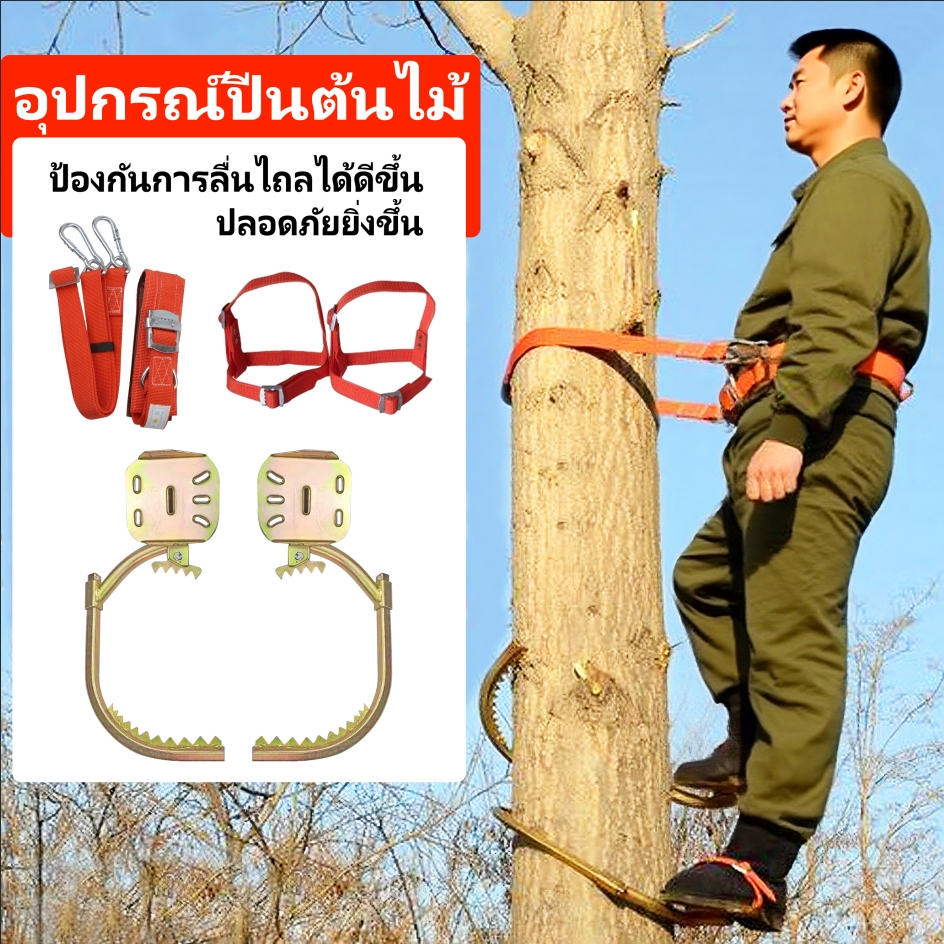 หัวเข็มขัดเท้าเครื่องมือปีนต้นไม้สําหรับการปีนต้นไม้, เครื่องมือเฉพาะสําหรับการหยิบต้นมะพร้าว, รองเท้าเหล็กคว้าต้นไม้, งานทางอากาศและเครื่องมือปีนเสา