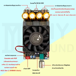 DIYsound 🎼 บอร์ดขยายเสียง ZK-3002 2G ชิป TPA3255 ของแท้ กำลังขับสูงสุด 600W แอมป์จิ๋วแรงๆ18v แอมจิ๋ว zk3002 2g ปรับโวลุ่มได้ มี Anti-POP และระบบป้องกันหลายชั้น