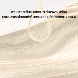 [12 ห่อ]Botare กระดาษเช็ดครัวแบบติดผนังถอดได้ ซึมซับน้ำมันและน้ำได้ดี 2 ชั้น 4800 แผ่น 223*200mm