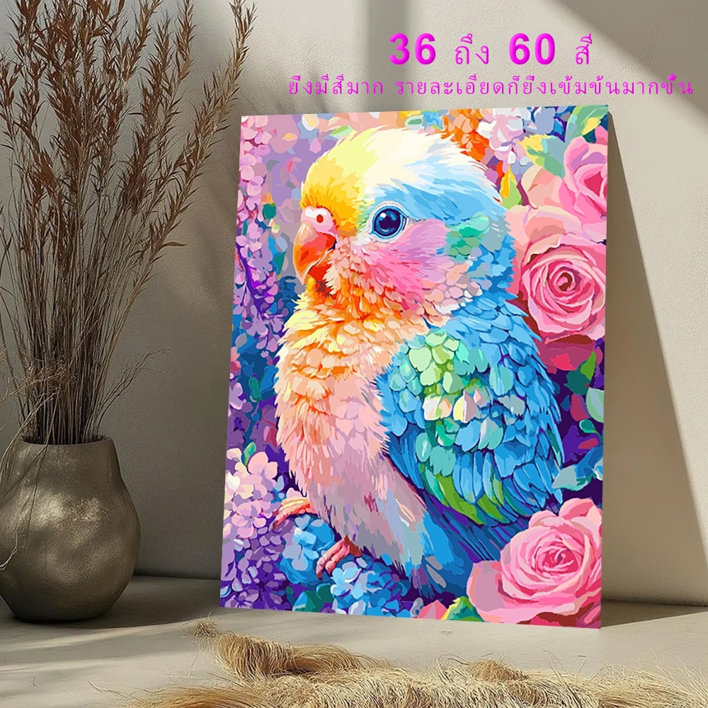 【40*50 ซม.】Drofe, ระบายสีตามตัวเลข, นกแก้วสีสันสดใส, วาดสีน้ํามันดิจิทัล, ระบายสี, วาด DIY, ภาพวาดผ้าใบ, ภาพวาดสีน้ํามัน, ภาพระบายสีตามตัวเลข, การตกแต่ง