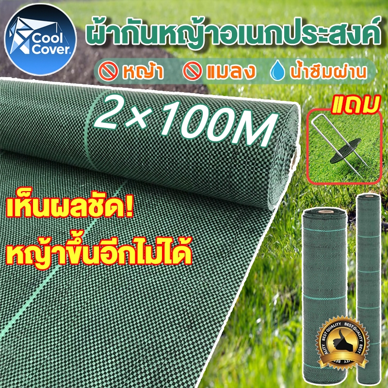 (แถมฟรีชิ้นหมุดยึด U)พลาสติกคลุมดิน คลุมวัชพืช คลุมดิน 70GSM 5m/10m/50m/100m Class AAA ผ้าคลุมหญ้า กันยูวี กําจัดวัชพืช ผ้าคลุมหญ้าหนา สีดํา เขียว