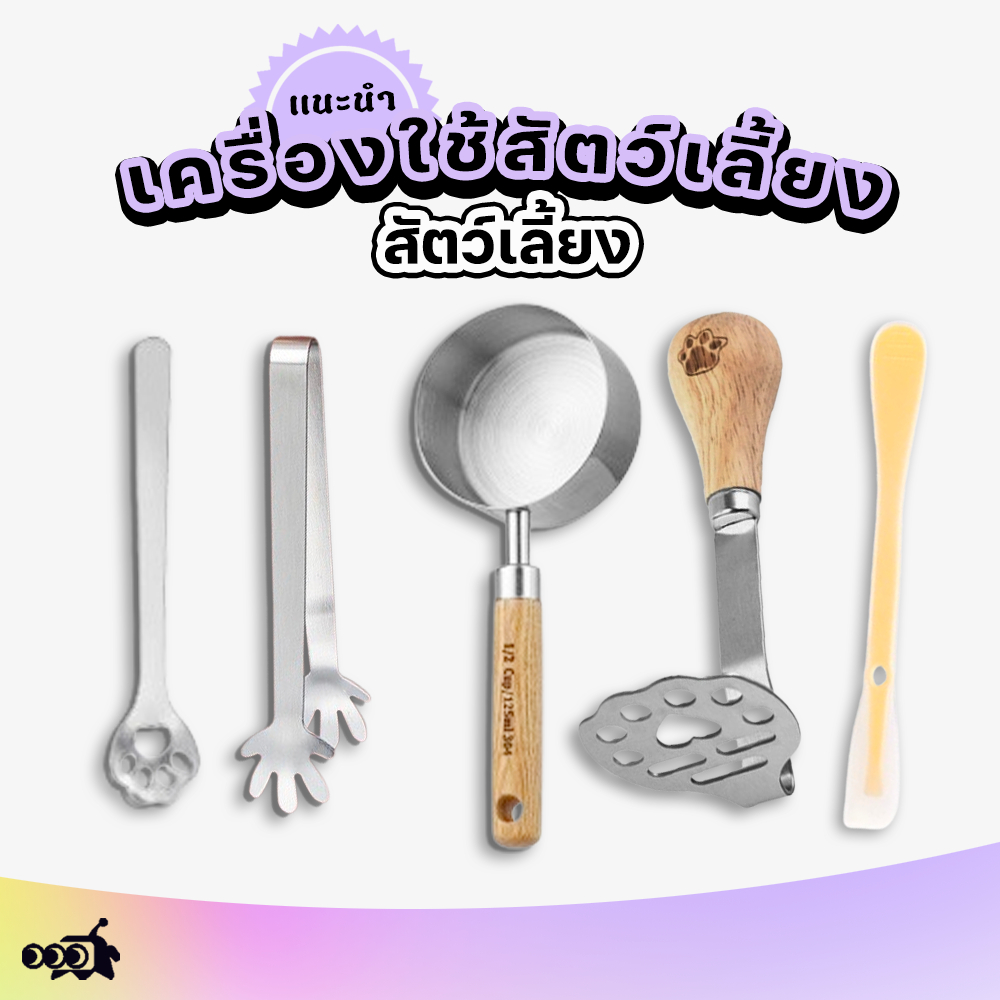 🔔ชุดเครื่องใช้สัตว์เลี้ยง สแตนเลส304 🐾 | คีมคีบอาหาร + ช้อนยาวป้อนยา + ช้อนตวงแม่นยำ 🐱+ ที่บดอาหารแมว ทนทาน กันสนิม