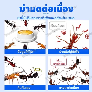 🐜 ไม่มีมดในระยะ 200 เมตร 🐜 LENO ยาฆ่ามด เหยื่อมด เหยื่อกำจัดมด ใช้งานง่าย เพียงติดไว้ ตายยกรัง 100% ได้ผล!