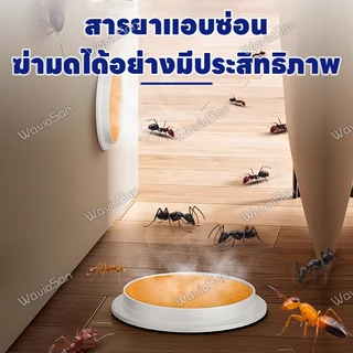 🐜 ไม่มีมดในระยะ 200 เมตร 🐜 LENO ยาฆ่ามด เหยื่อมด เหยื่อกำจัดมด ใช้งานง่าย เพียงติดไว้ ตายยกรัง 100% ได้ผล!