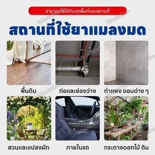 🐜 ไม่มีมดในระยะ 200 เมตร 🐜 LENO ยาฆ่ามด เหยื่อมด เหยื่อกำจัดมด ใช้งานง่าย เพียงติดไว้ ตายยกรัง 100% ได้ผล!