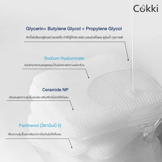 โทนเนอร์แพด เติมความชุ่มชื้น 100Pads Cokki Highly Moisturizing Pad Toner Pad