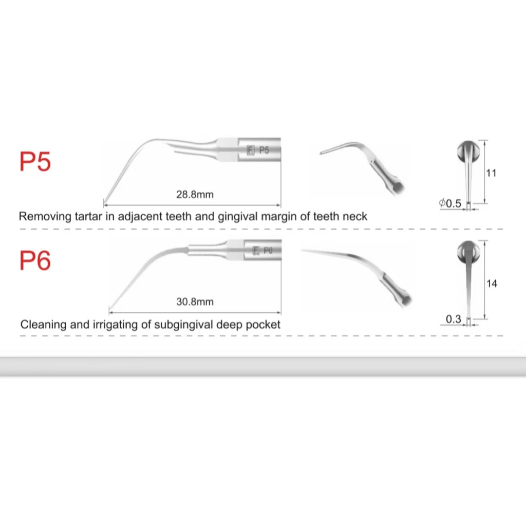 P5 P6 P7 P8 P10 P11 ทันตกรรม Ultrasonic Scaler Piezo เคล็ดลับ Periodostic สําหรับ EMS นกหัวขวาน